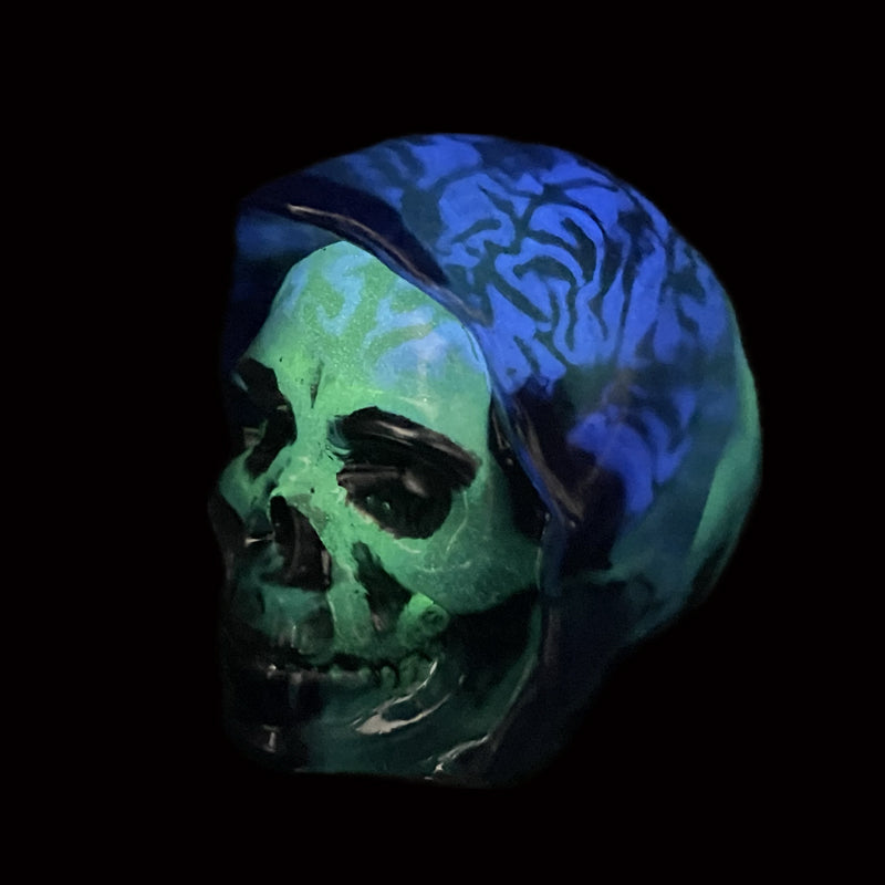 GITD X-Ray Skeletor -  TripleCast Brain